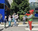 img (1)
